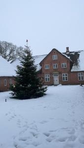 a christmas tree in the snow in front of a house at Bjerremark Hotel og Kursuscenter in Tønder
