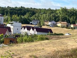 Blick auf einen Vorort mit Häusern in der Unterkunft Villa di Lago - Ferienhaus mit Sauna in Mücheln