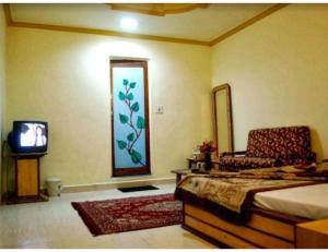 a room with a bed and a tv and a chair at Hotel Royal, Pachmarhi in Pachmarhī