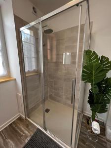 uma cabina de duche em vidro numa casa de banho com uma planta em Grand F2 proche du centre ville. em Châlons-en-Champagne