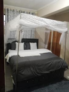 a bedroom with a bed with a canopy at Jabali- Zuriel homes 1 bedroom apartment in Kakamega