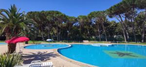 una gran piscina con sombrilla y sillas rojas en SMALL CAMP Baia Domizia KR VIP Full Service en Baia Domizia