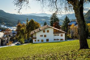 une maison blanche sur une colline avec un arbre dans l'établissement Apartment Bellevue Seis, à Alpe di Siusi