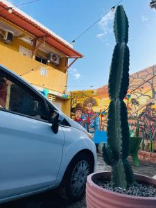 a cactus in a pot in front of a car at Pousada Maria Bonita Abreu e Lima in Maricota