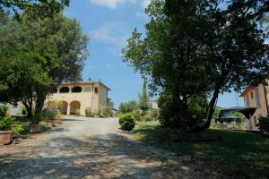 una strada che conduce a una casa con un albero di Agriturismo Borgo Sant'Ercolano a Ciggiano