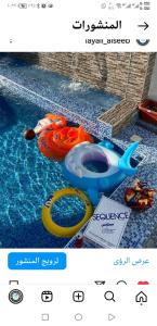 a picture of a swimming pool with two toys at شاليه ليالي السيب in Seeb