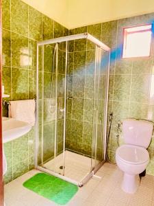 a bathroom with a shower with a toilet and a sink at LE NOUVEL EDEN in Toliara