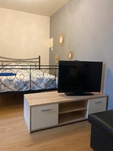 sala de estar con TV y cama en Grand STUDIO SUR COUR PRIVATIVE en Muret