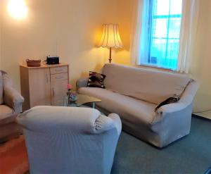 ein Wohnzimmer mit einem Sofa und 2 Stühlen in der Unterkunft Herberge Zum Steiger Franz in Sedlitz