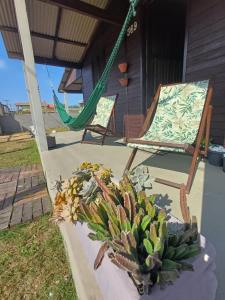 un cactus, un hamac et une chaise sur une terrasse couverte dans l'établissement Casa de Praia Juli e Vini, à Cidreira