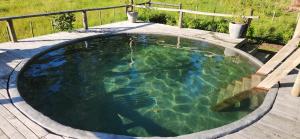a small pool of water on a wooden deck at AfriCamps at Oakhurst in Wilderness