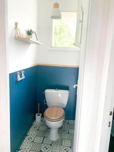 een badkamer met een toilet met blauwe muren en een raam bij la maison du vignoble in La Limouzinière
