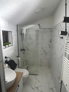 a bathroom with a shower and a toilet and a sink at Visage appointment in Strumica