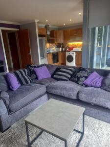 ein Wohnzimmer mit einem Sofa und lila Kissen in der Unterkunft 360 Dun Aoibhinn in Dungarvan