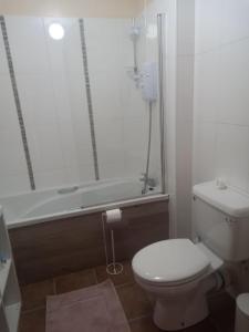 a bathroom with a toilet and a bath tub at 360 Dun Aoibhinn in Dungarvan