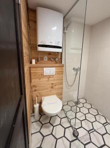 uma pequena casa de banho com WC e chuveiro em Ozoni & Sauna em Sopot