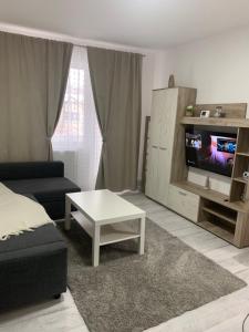 uma sala de estar com um sofá e uma mesa de centro em Apartament Elena em Bîrlad