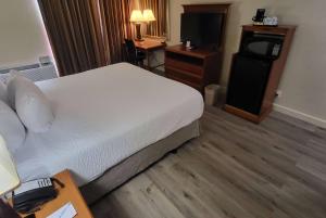 a hotel room with a bed and a television at Ramada by Wyndham Houston Intercontinental Airport East in Humble
