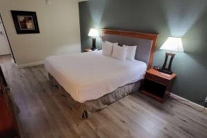 a large bed in a hotel room with two lamps at Ramada by Wyndham Houston Intercontinental Airport East in Humble