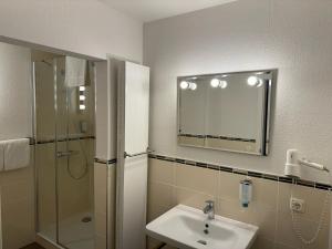 a bathroom with a sink and a shower and a mirror at Mueßer Hof in Schwerin