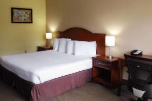 um quarto de hotel com uma cama e uma televisão em Econo Lodge em Ormond Beach