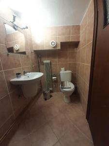 a bathroom with a toilet and a sink at Πανσιόν Κοκκοβός in Arachova
