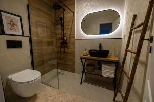 a bathroom with a toilet and a sink and a mirror at Cozy Studio in Sibiu