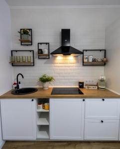a kitchen with a counter with a sink and a stove at Cozy Studio in Sibiu
