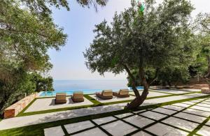 a pool with two lounge chairs under a tree at Amberton Green Villas Corfu in Corfu