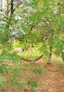 Κήπος έξω από το Home Garden