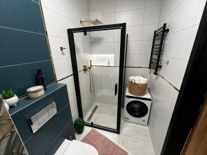 a bathroom with a shower with a washing machine at Apartament Starówka Bulvar 11 in Elblag