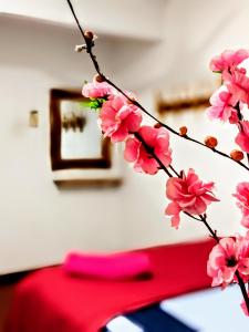 a branch of pink flowers with a red cloth in the background at Udawalawa Safari House in Udawalawe