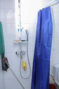 a shower with a blue shower curtain in a bathroom at 3 bedroom apartment (fully furnished), Festac in Festac Town