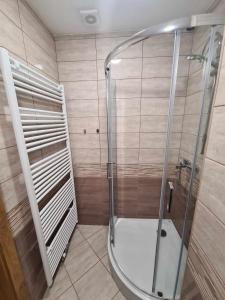 y baño con ducha y puerta de cristal. en Turistično - Izletniška kmetija Žerjav en Brežice