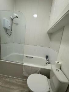 a white bathroom with a toilet and a shower at Sea View Studio Apartment No 3 in Ryde