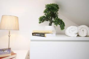 un estante blanco con una planta y libros y una lámpara en Cardiff Private Double Room with Shared Bathroom Wi-Fi And Free On-Street Parking, en Cardiff