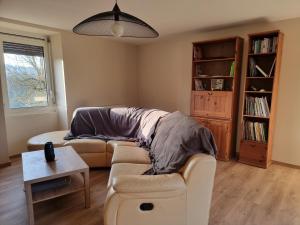 salon z kanapą i półką na książki w obiekcie Gîte Sarazac w mieście Mayac
