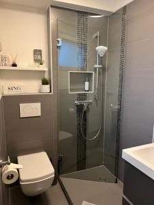 ein Bad mit einer Dusche, einem WC und einem Waschbecken in der Unterkunft Luxury Apartment Vorstetten in Vörstetten