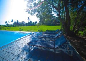 two beds are sitting next to a swimming pool at Birdsong Leisure Resort in Tissamaharama