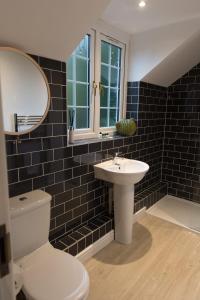 a bathroom with a toilet and a sink and a mirror at The Dog in Over Peover in Knutsford