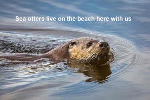 Photo de la galerie de l'établissement North Cape Accommodation, Norway, à Repvåg