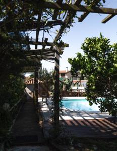 a pergola next to a swimming pool at João Jungle in Açafora