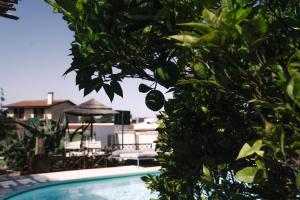 a pool with chairs and a gazebo behind a tree at João Jungle in Açafora