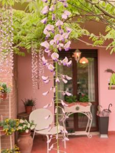 a bunch of pink flowers hanging from a tree at Il Giardino di Cristina in Vagliagli