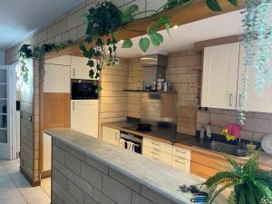 A kitchen or kitchenette at Appart crime