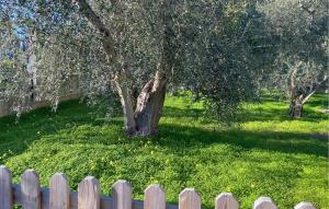 Κήπος έξω από το 5 Bedroom Pet Friendly Home In Vieste
