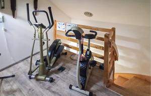 Fitness centrum a/nebo fitness zařízení v ubytování Pet Friendly Apartment In Spytkowice
