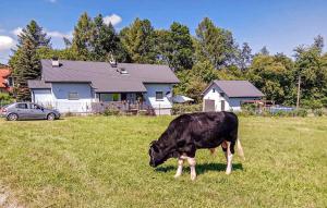 un pâturage de vaches dans un champ devant une maison dans l'établissement Stunning Apartment In Spytkowice With Kitchen, à Spytkowice