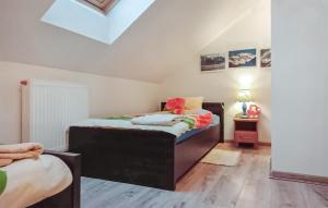 - une chambre avec 2 lits et une lucarne dans l'établissement Stunning Apartment In Spytkowice With Kitchen, à Spytkowice