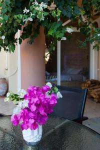 Vonkajšia záhrada v ubytovaní Lenico Beachfront Suites